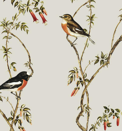Pictured - Robin & Vines